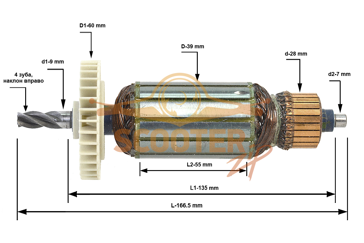 Ротор (Якорь) (L-166,5 mm, D-39 mm, 4 зуба, наклон вправо), U352-120-036