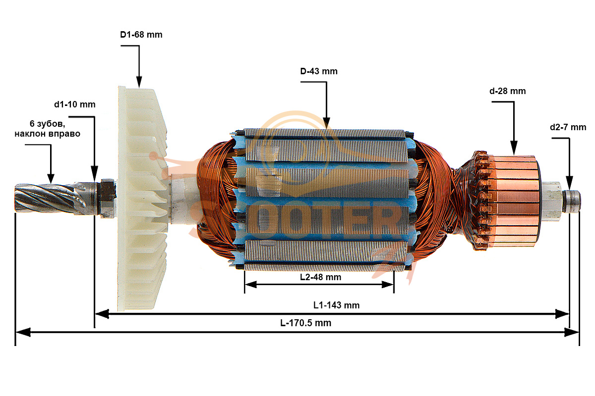 Ротор (Якорь) (L-170.5 мм, D-43 мм, 6 зубов, наклон вправо), N000-028-676